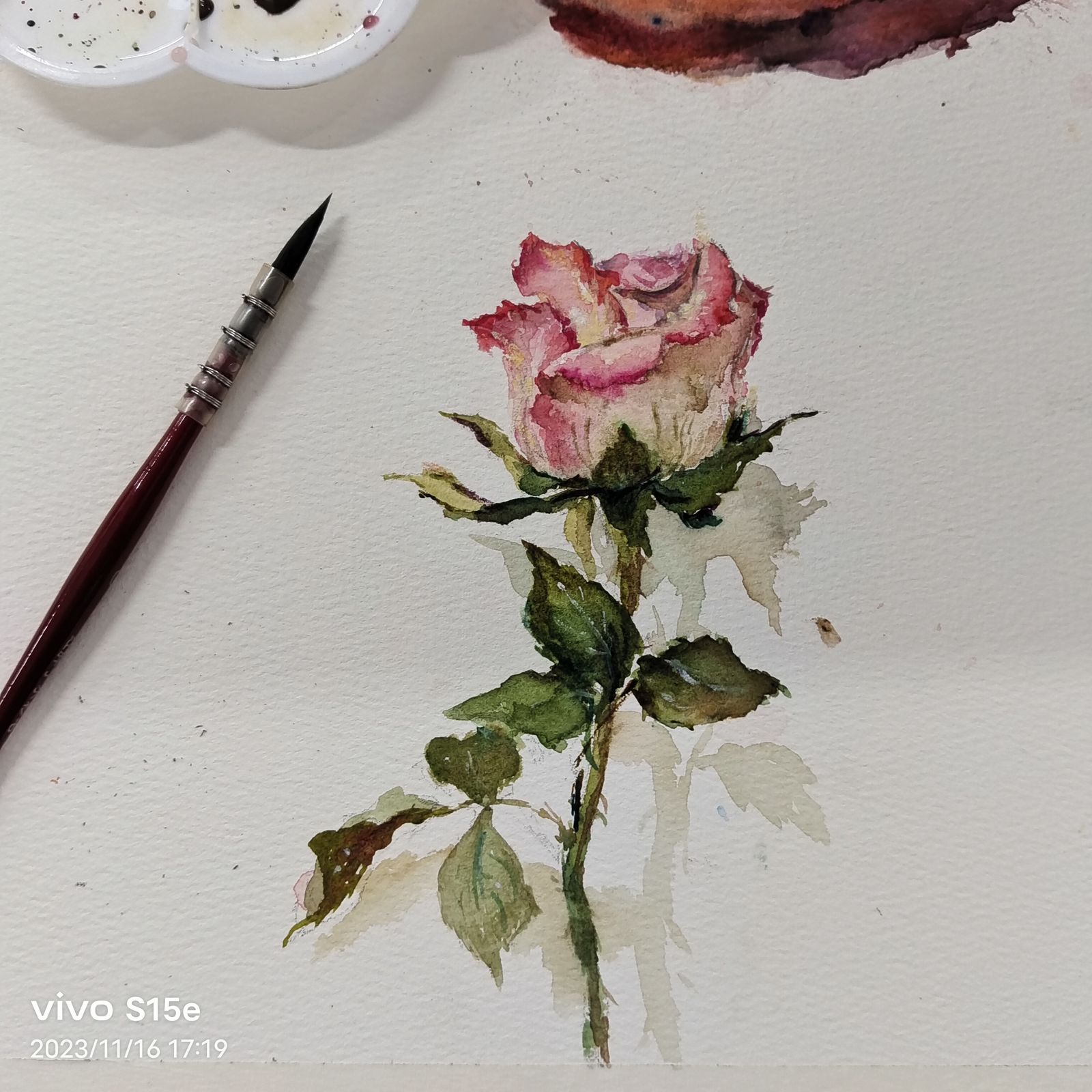 枯玫瑰头像同人高清图