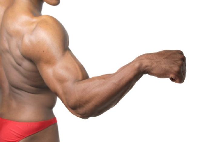 男性人体结构肌肉动作动态透视高清照片图片素材插画图片壁纸