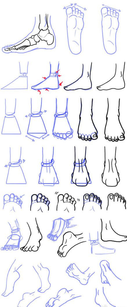 脚的画法，不同动态的参考插画图片壁纸