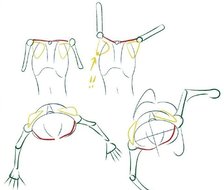 理解肩部肌肉和透视，人体素材 画师：Amagi_Yoshihito