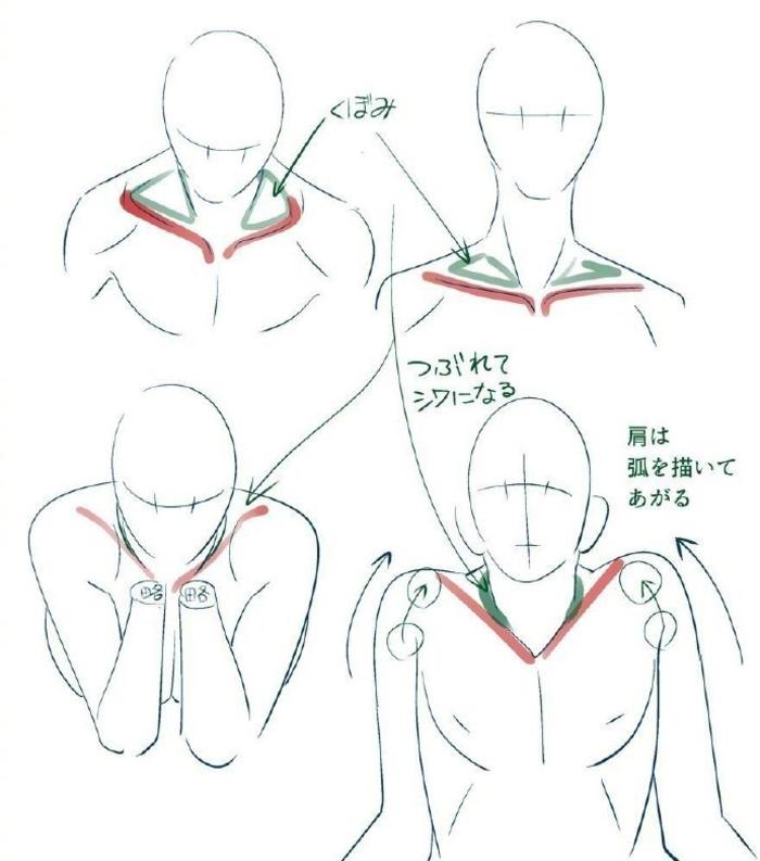 理解肩部肌肉和透视，人体素材 画师：Amagi_Yoshihito 插画图片壁纸