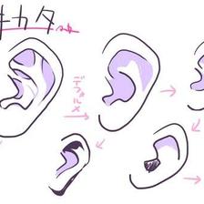 耳朵的构造插画图片壁纸
