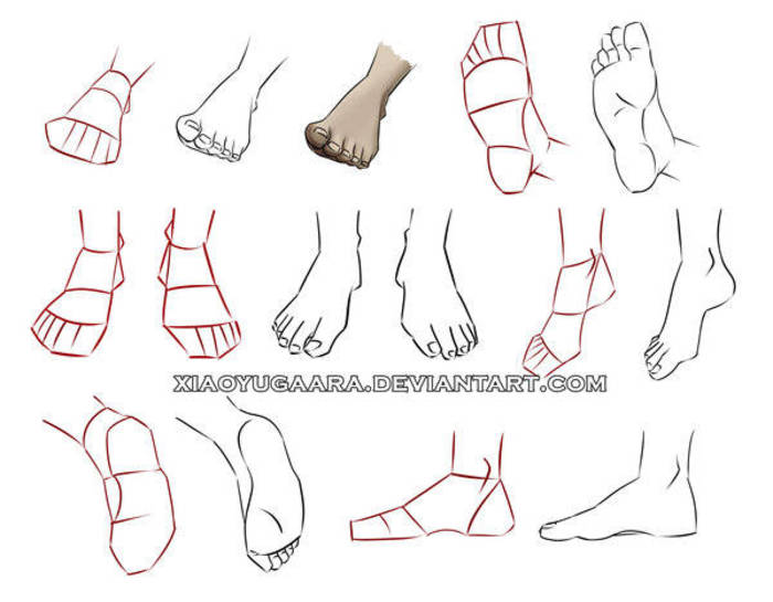 漫腿部和脚部的动态参考，理解腿部的立体感，画脚时记住大脚趾头是主导位置哦 不会的同学快码～ 插画图片壁纸