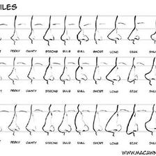 希腊鼻罗马鼻犹太鼻波形鼻狮子鼻鞍鼻蒜头鼻……快看看你是哪种，。一组鼻子的绘画参考 插画图片壁纸