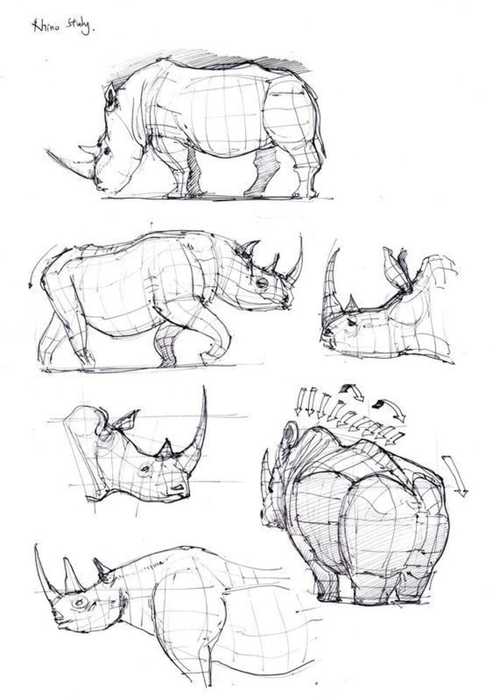 动物绘画参考素材插画图片壁纸