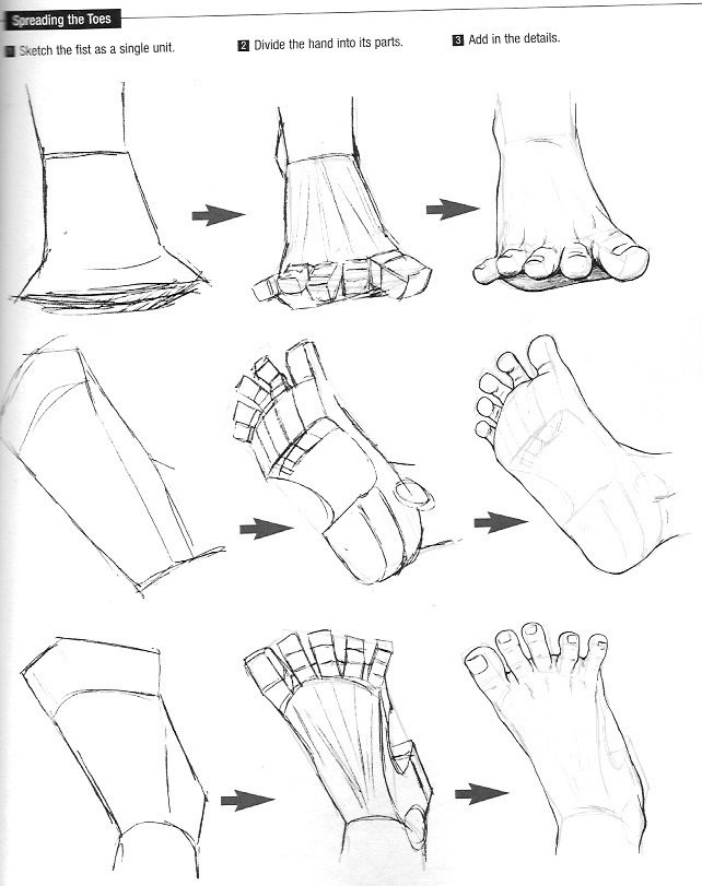 画完手来画脚,画脚的参考教程 插画图片壁纸