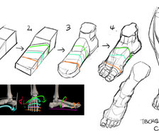 画师TB Choi 的脚部和人体绘制线稿，学画画