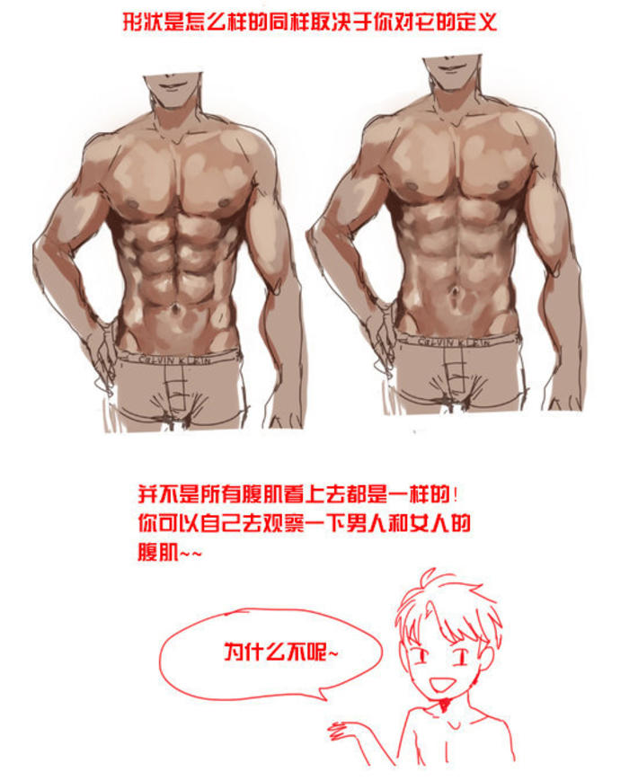 男性腹肌的介绍和绘制方法， 这腹肌爱了插画图片壁纸