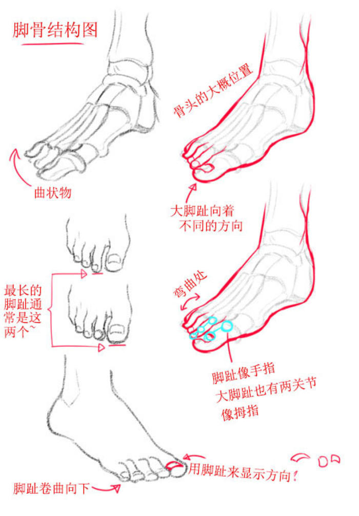 icannotnameyou教你多角度把控脚的画法，简单易懂，快来试试吧 插画图片壁纸