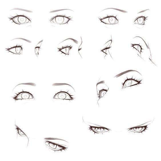 眼睛的透视 ​​​​帮你画多角度眼睛 插画图片壁纸