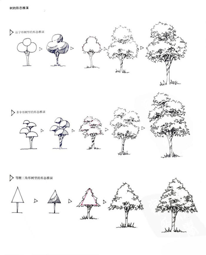 一些树木的画法 插画图片壁纸