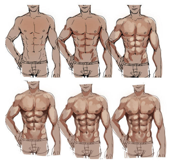 男性腹肌的介绍和绘画上色方法，拿去舔屏练习插画图片壁纸