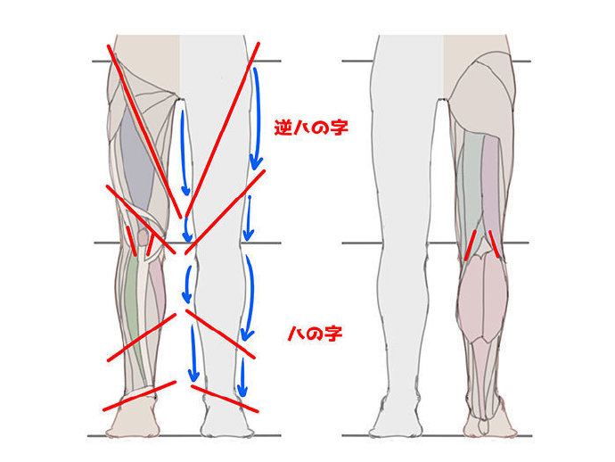 如何画腿和脚 插画图片壁纸