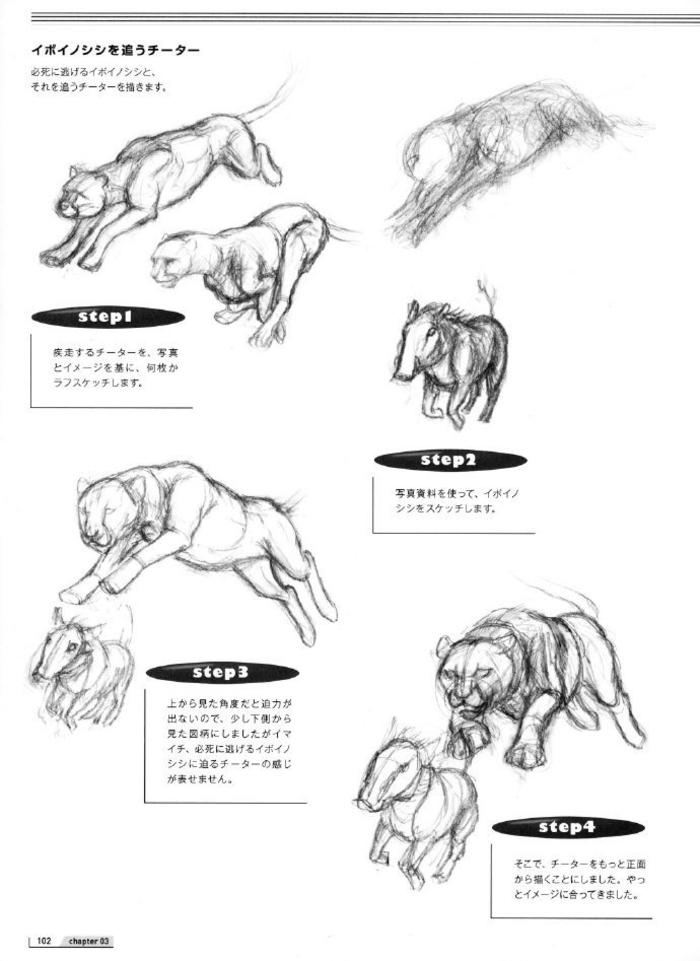 猫科动物的画法，铃木真理插画图片壁纸