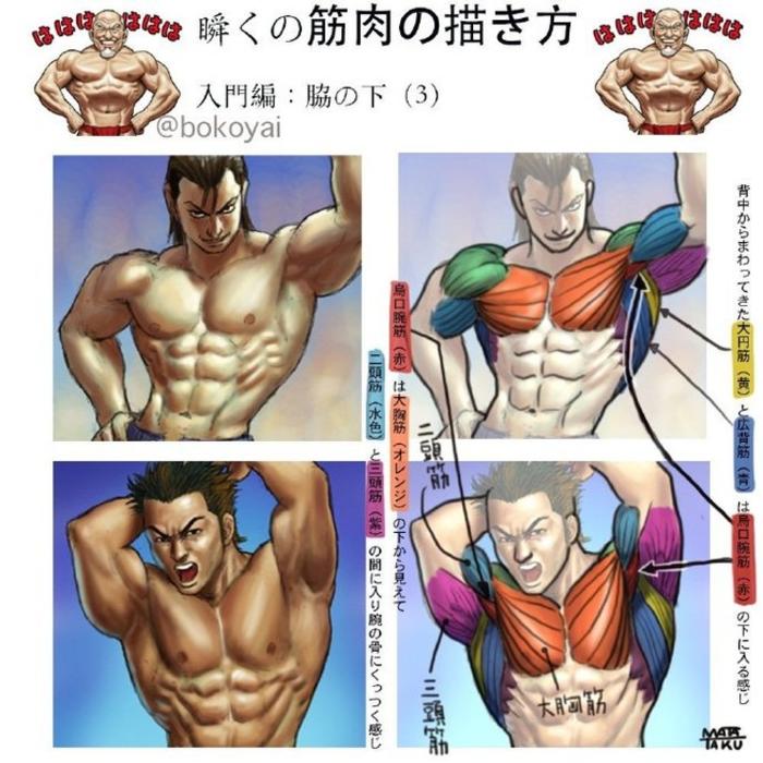 魔，魔鬼筋肉人，肌肉绘画教程 via：bokoyai 插画图片壁纸