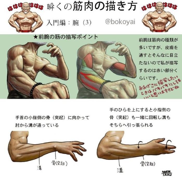 魔，魔鬼筋肉人，肌肉绘画教程 via：bokoyai 插画图片壁纸