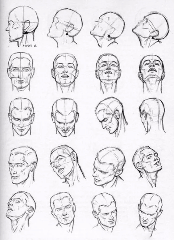 人物头型动态及发型参考插画图片壁纸