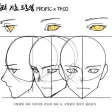 眼睛与面部的关系，注意角度透视噢，学画画 插画图片壁纸