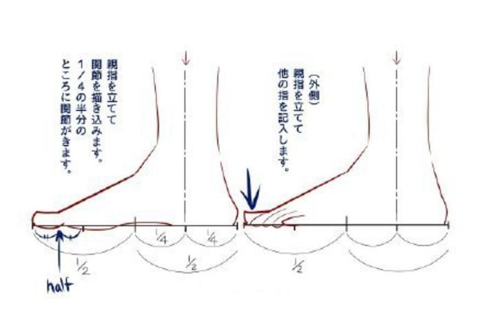 脚部绘画讲座，脚部比例  Amagi_Yoshihito插画图片壁纸