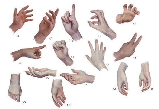 100多种手势练习，画起来插画图片壁纸