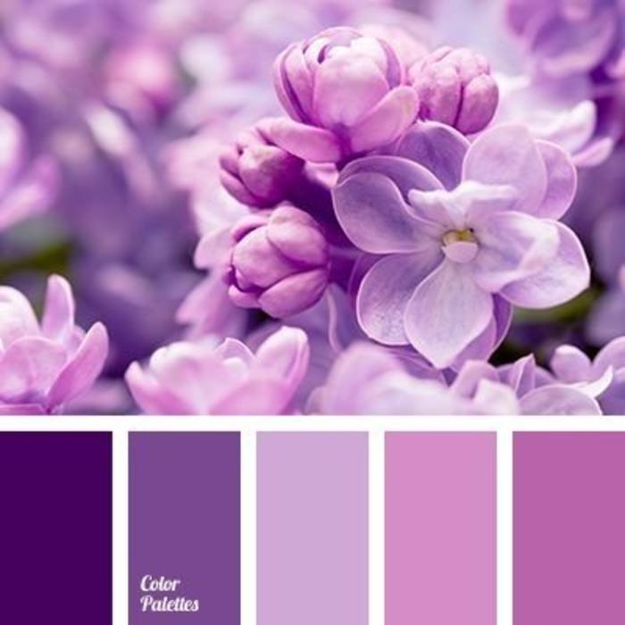 一组舒服的紫色系配色，色卡素材灵感插画图片壁纸