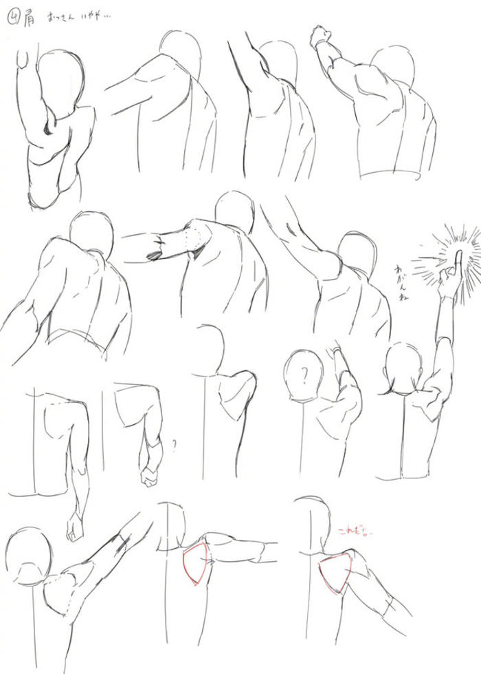 男性肩部、腕部的绘制参考，用简单的线条理解形体插画图片壁纸