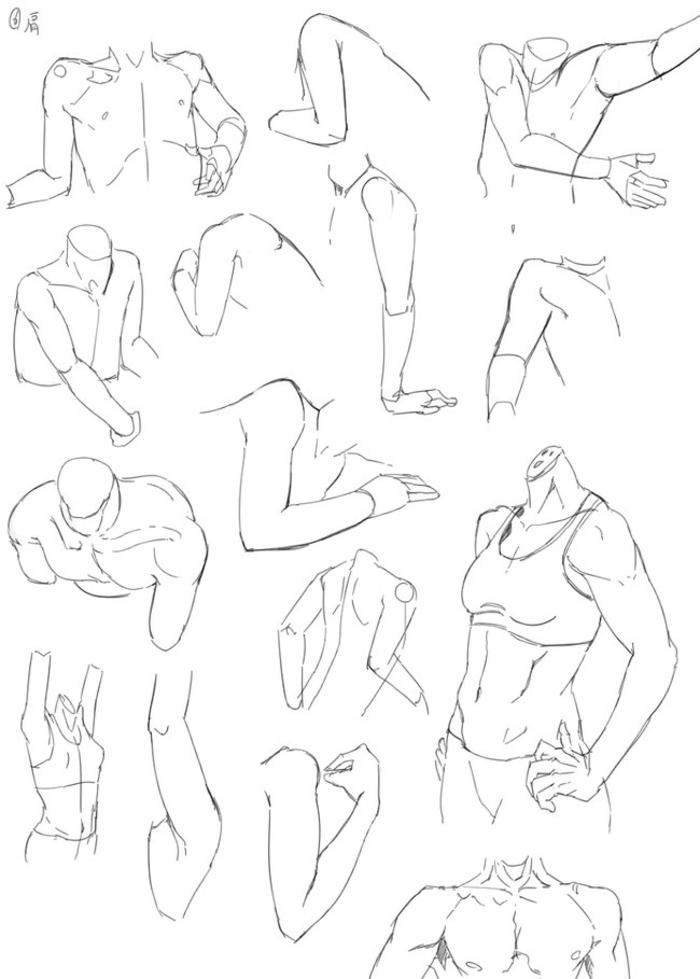 男性肩部、腕部的绘制参考，用简单的线条理解形体插画图片壁纸