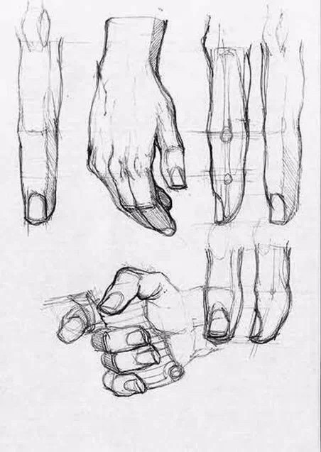 继续来画手一组手部素描素材