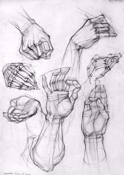 继续来画手一组手部素描素材