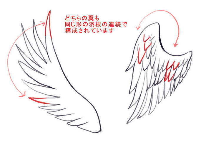 翅膀的画法参考，需要的时候不用再找啦 插画图片壁纸