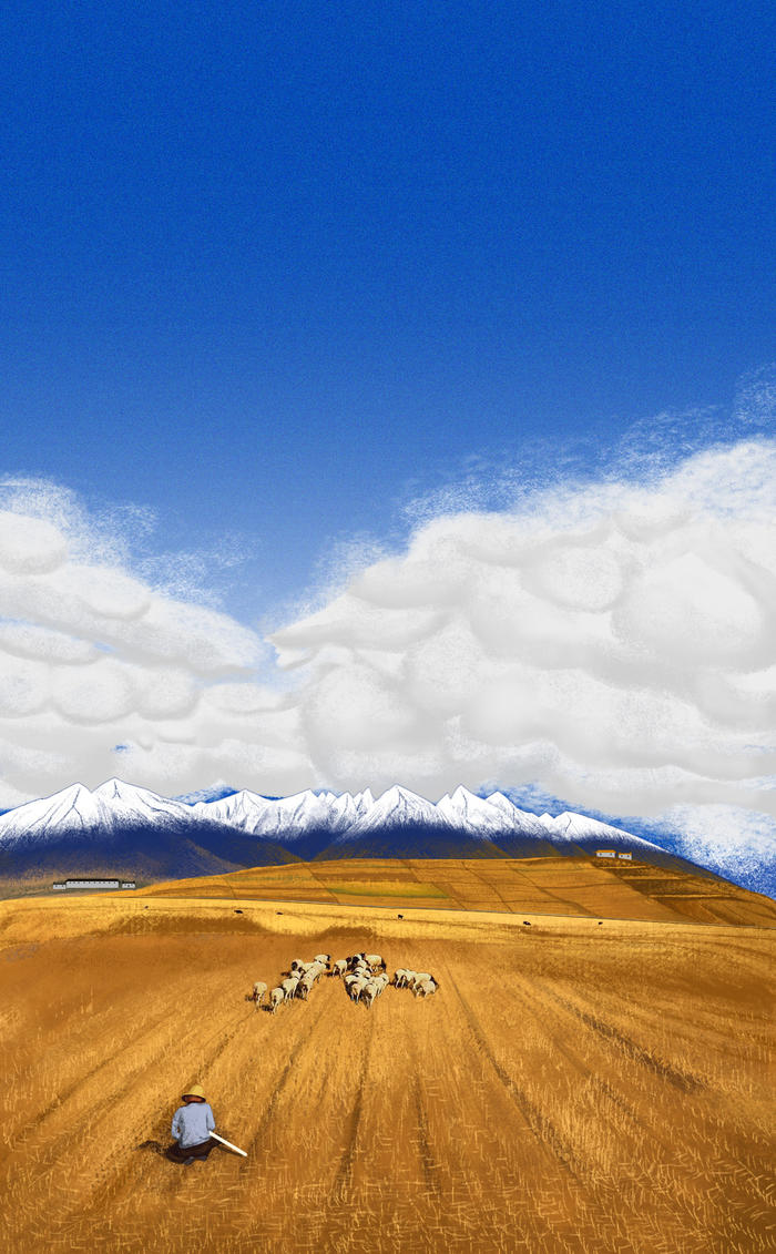 牧羊人 草西北的秋插画图片壁纸