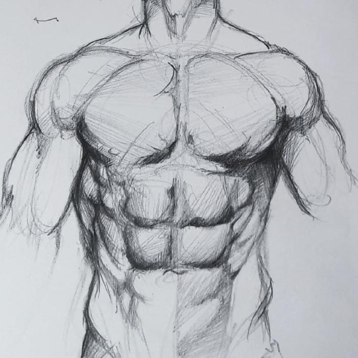 人体肌肉与线条的绘画参考，来自Burak Gecgil 插画图片壁纸
