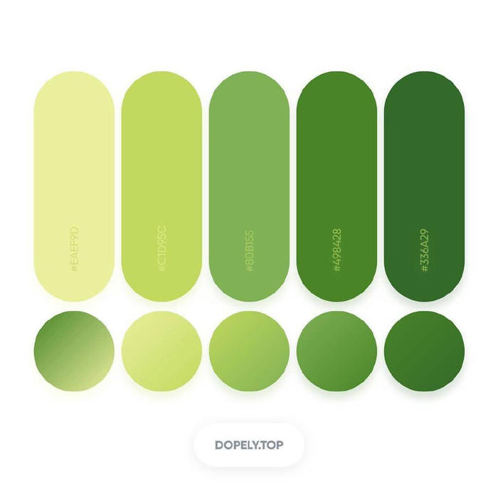 夏天充满生机勃勃的颜色 绿色系搭配参考推荐 插画图片壁纸