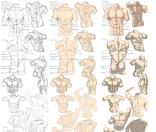 100种人体姿势练习参考素材，多角度，详细解刨人体。