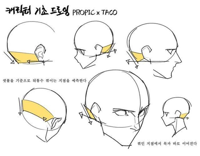 不同角度头部的绘制五官的透视关系，码，画师taco 插画图片壁纸