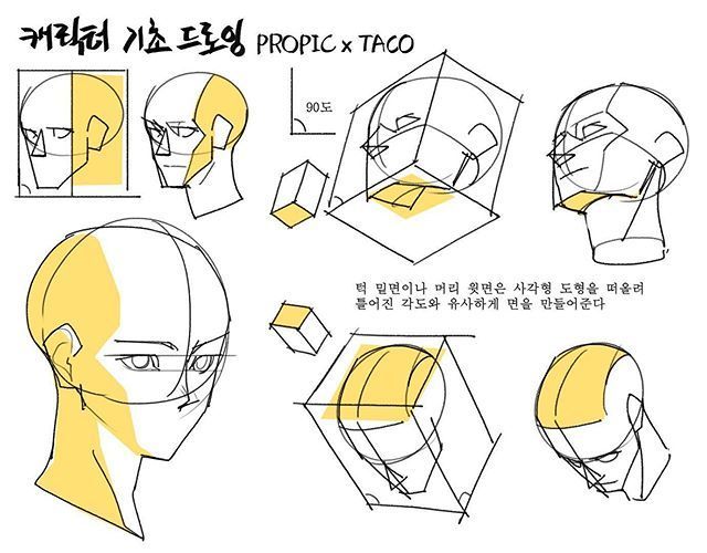 不同角度头部的绘制五官的透视关系，码，画师taco 插画图片壁纸
