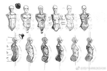 人体绘画素材分享一波，学画画，我们是认真的，​​​​  ​​​​ 插画图片壁纸