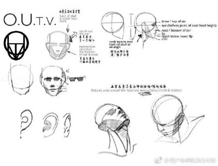 人体绘画素材分享一波，学画画，我们是认真的，​​​​  ​​​​ 插画图片壁纸