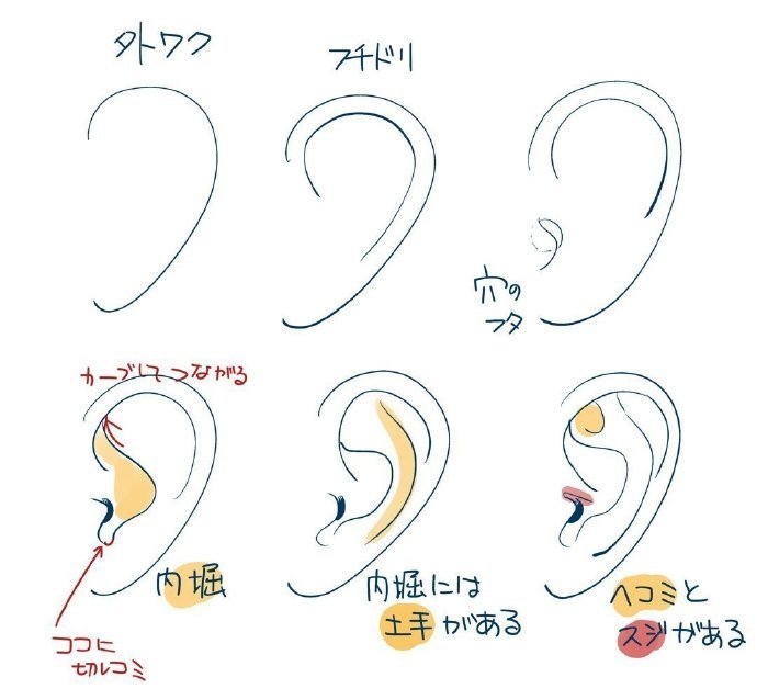 一组耳朵的教程五官绘画素材