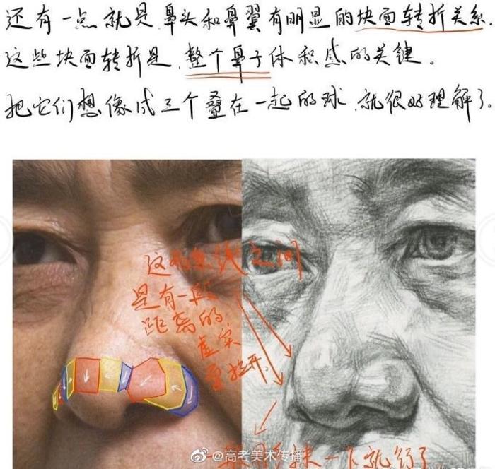 素描五官鼻子教学笔记参考 插画图片壁纸