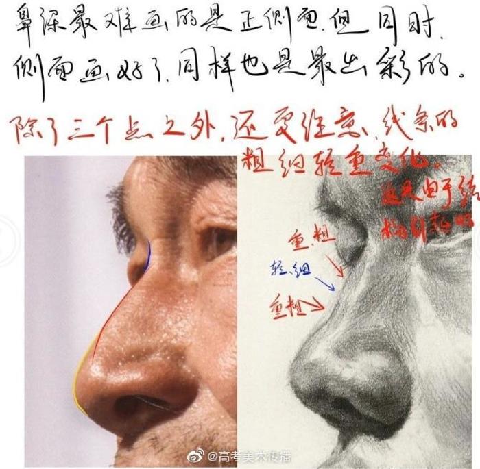 素描五官鼻子教学笔记参考 插画图片壁纸