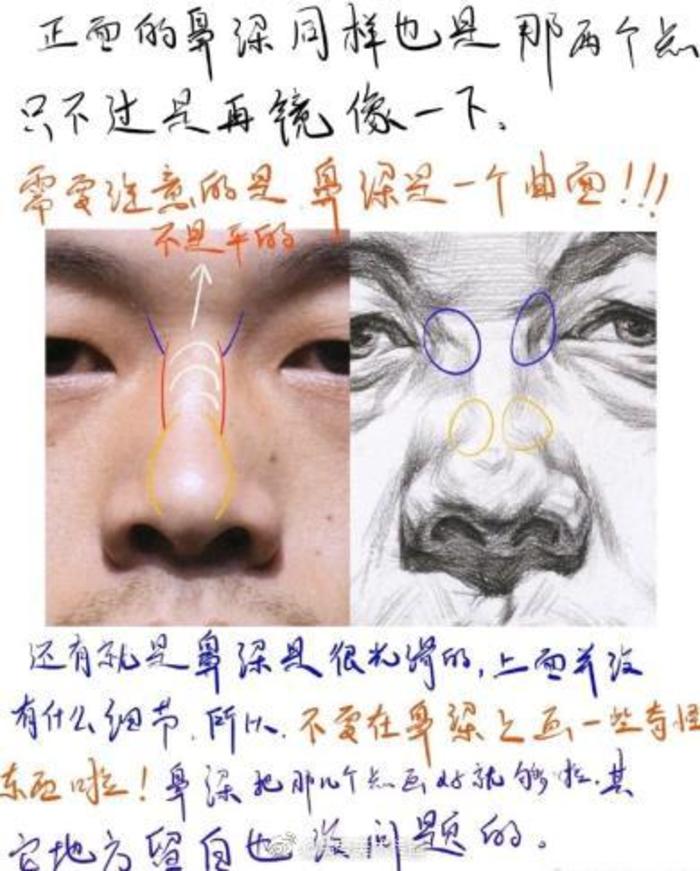 素描五官鼻子教学笔记参考 插画图片壁纸