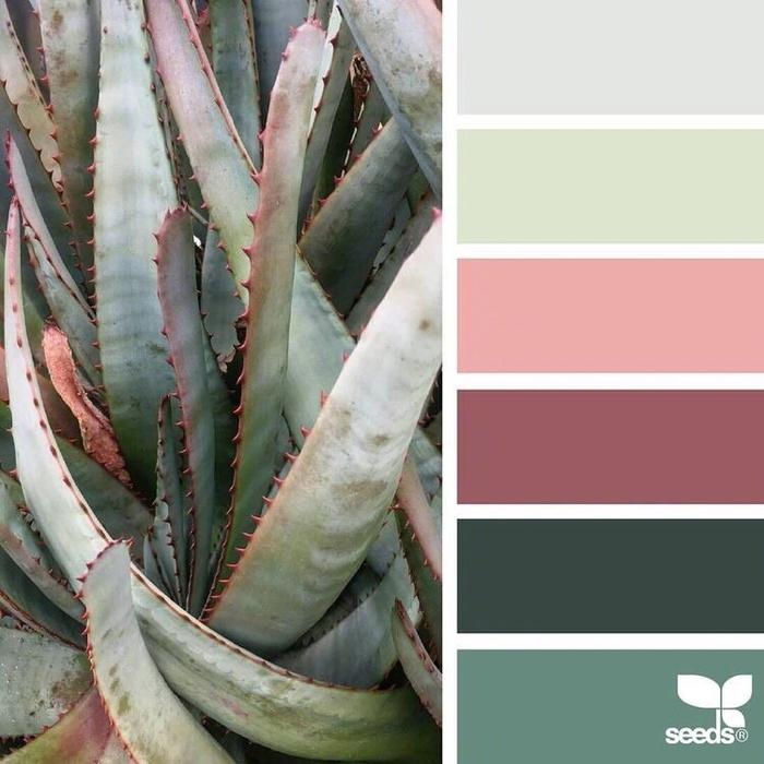 从植物中提取的配色，绿灰色系搭配参考，码插画图片壁纸