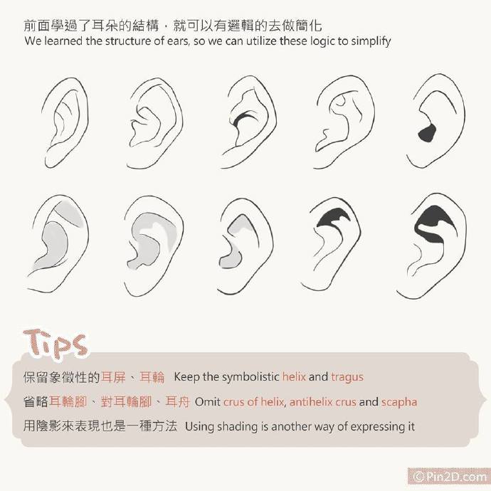 各种耳朵画法教程来自pin2dcom