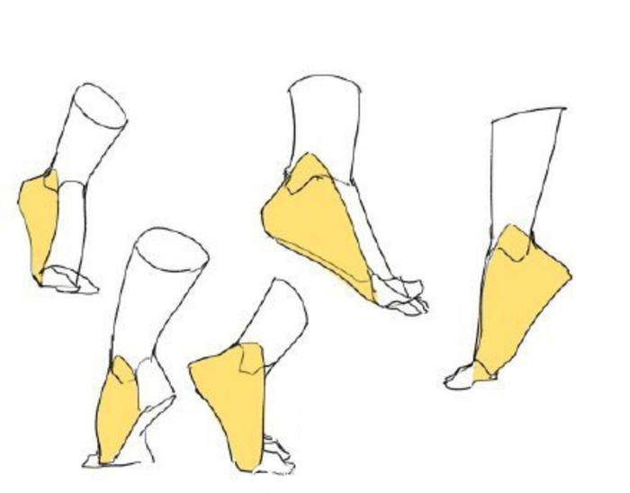 脚的体块参考，多种姿势透视 学画画插画图片壁纸