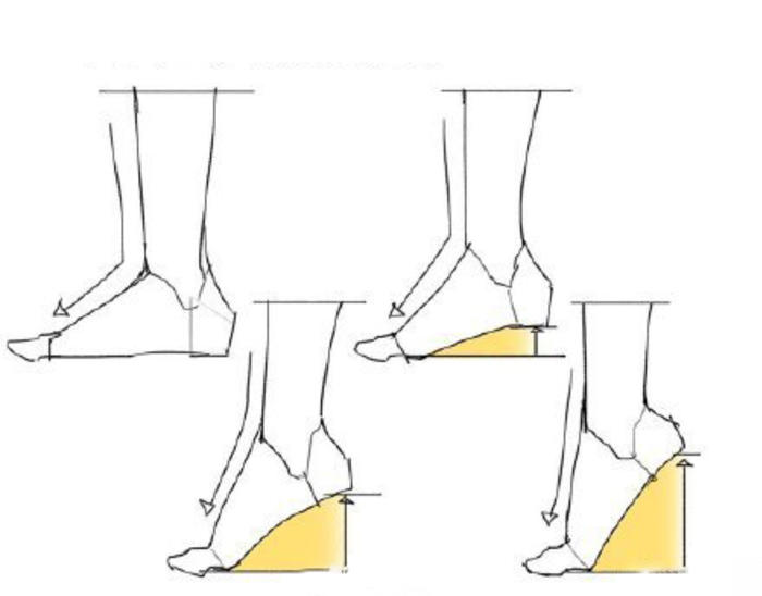 脚的体块参考，多种姿势透视 学画画插画图片壁纸