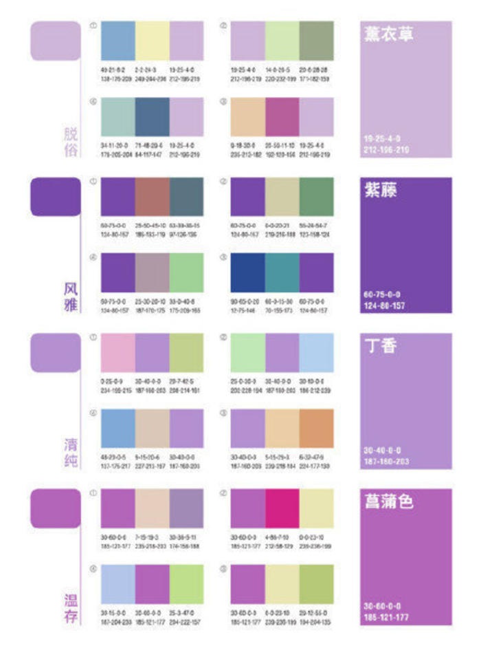 骚气的颜色，就是紫色， 紫色系配色方桉 插画图片壁纸