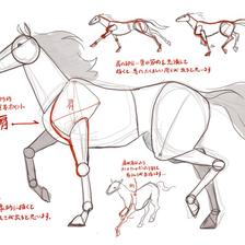 画匹马，一组画马的绘画教程插画图片壁纸