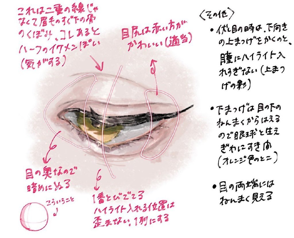 不同角度下的眼插画图片壁纸