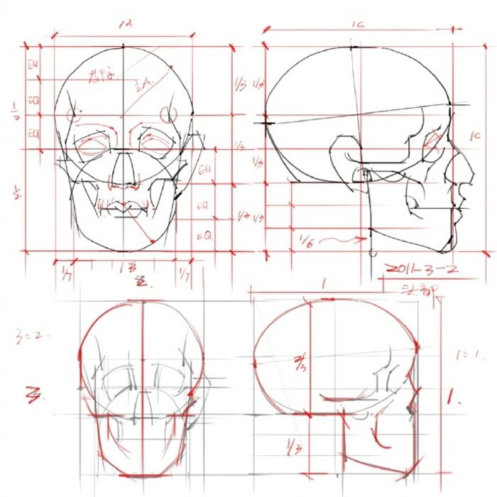 头部结构分析，比例细节要好好观察插画图片壁纸